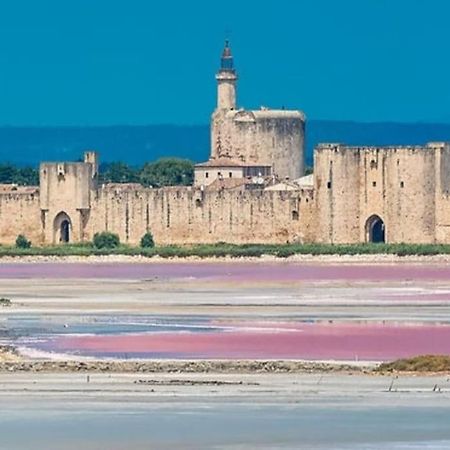 Studio En Petite Camargue Le Cailar Luaran gambar